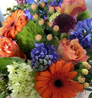 Quirky mix of fun and bright colors with loads of flower variety.