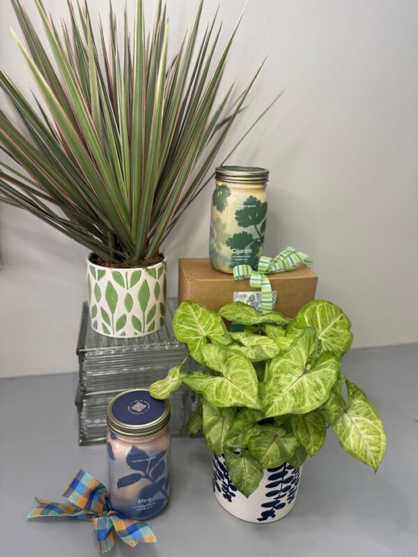 Herb Grow Kit & Plant Bundle