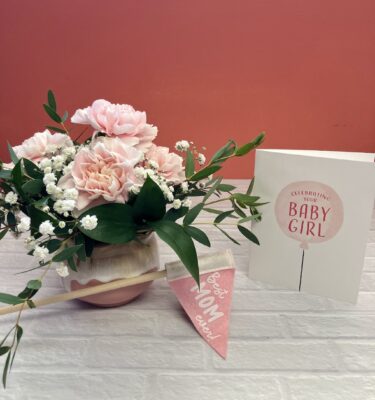 Oh Baby Girl! Bundle