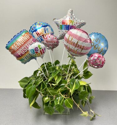 Air-filled Mylar Balloon - Special Occasion