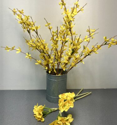 Yellow Spring Bundle