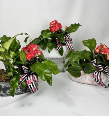 Ornate Decorative Planter